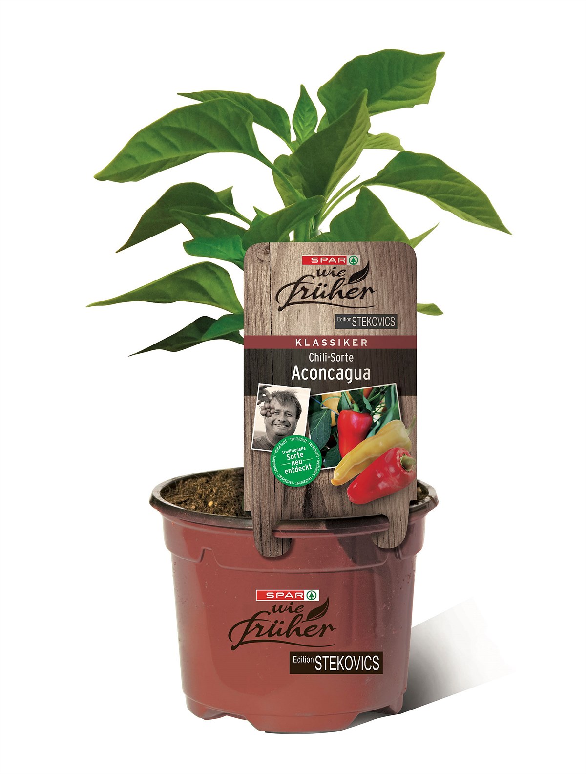SPAR wie früher Sortenstecker Chili Aconcagua