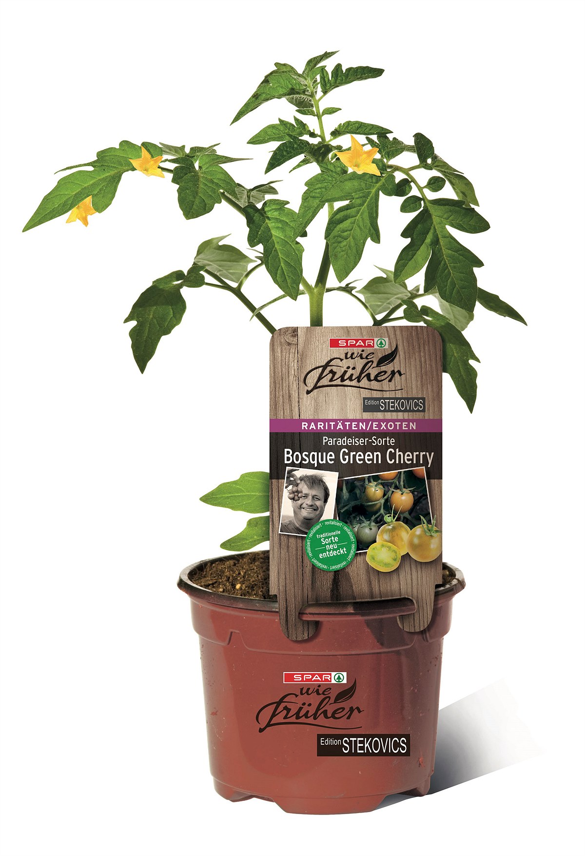 SPAR wie früher Sortenstecker Paradeiser Bosque Green_Cherry