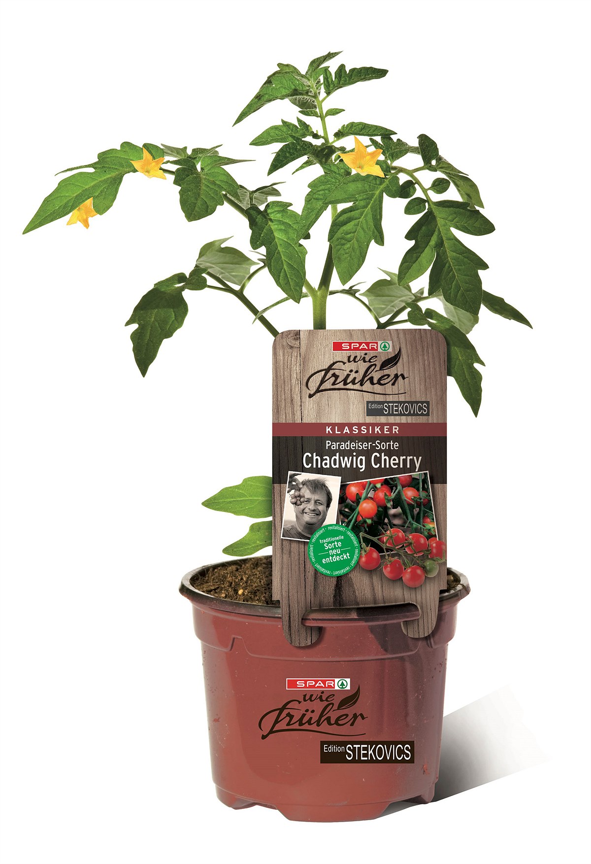 SPAR wie früher Sortenstecker Paradeiser Chadwig Cherry