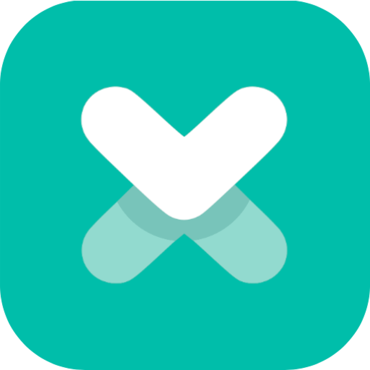 Taxefy App ICON