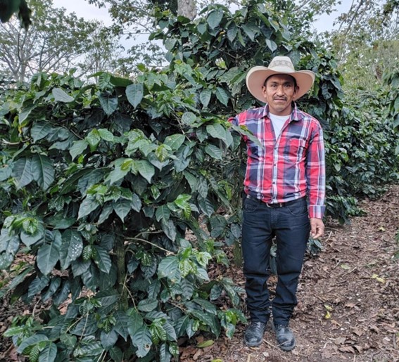 Honduras_Kaffeeprogramm_JoseValerioDiaz