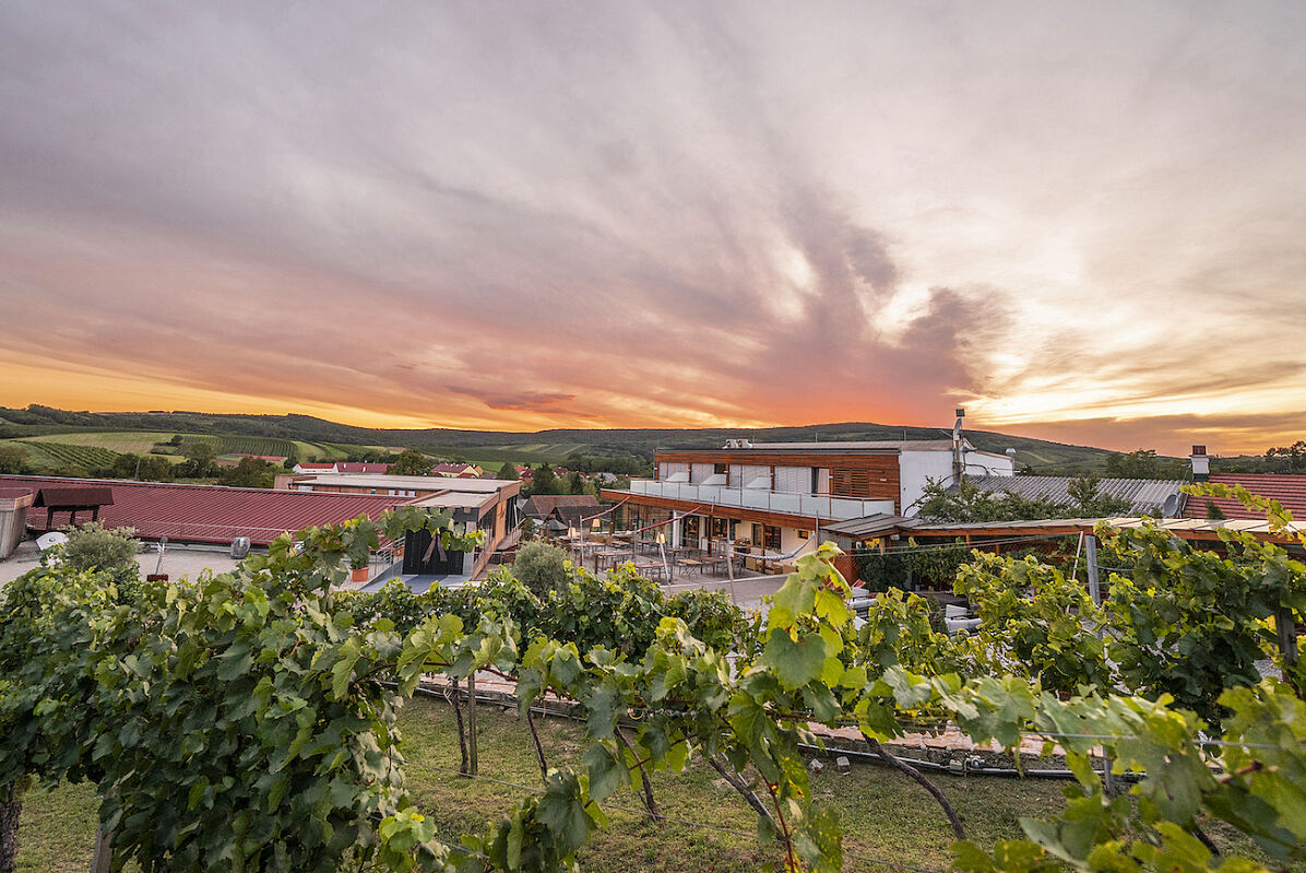 Weingut_Hagn_© WeingutHagn_StefanieWinter