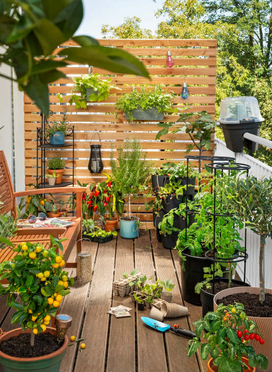 INTERSPAR_Alles fuer den Garten (c) INTERSPAR